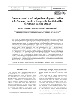 Summer-restricted migration of green turtles Chelonia mydas to a
