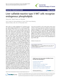 Liver sulfatide-reactive type II NKT cells recognize