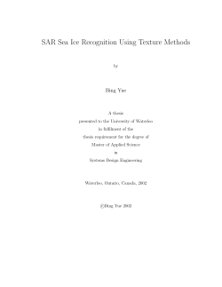 SAR Sea Ice Recognition Using Texture Methods