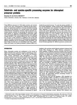 Substrate- and species-specific processing enzymes for chloroplast