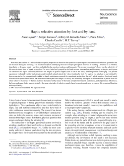 Haptic selective attention by foot and by hand