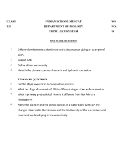 Class XII Biology Ecosystem