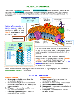 Plasma Membrane