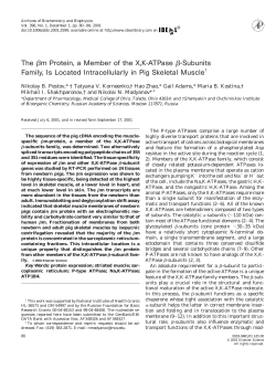 The m Protein, a Member of the X,K-ATPase