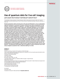 Use of quantum dots for live cell imaging