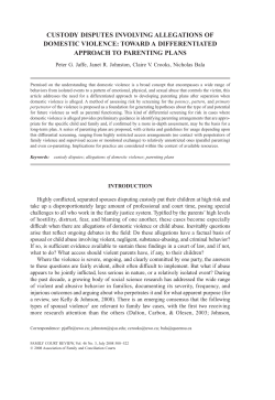 custody disputes involving allegations of domestic violence