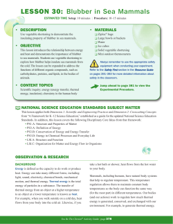 LESSON 30: Blubber in Sea Mammals