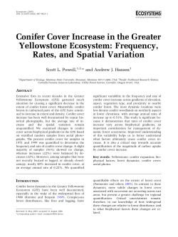 Conifer Cover Increase in the Greater Yellowstone Ecosystem