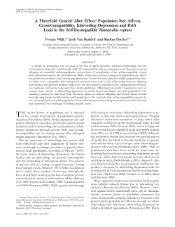 A Threefold Genetic Allee Effect: Population Size Affects