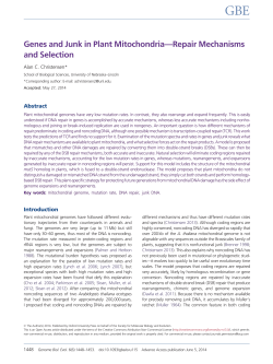 Genes and Junk in Plant Mitochondria&mdash;Repair Mechanisms and