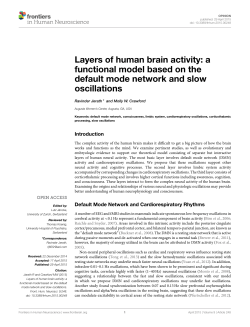 Layers of human brain activity: a functional model based on the
