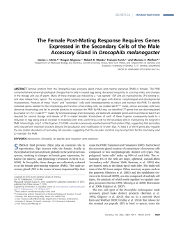 The Female Post-Mating Response Requires Genes