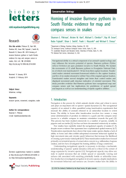 Homing of invasive Burmese pythons in South Florida: evidence for