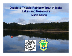 Performance of Diploid and Triploid Rainbow Trout