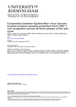 Cooperation between Epstein-Barr virus immune evasion proteins