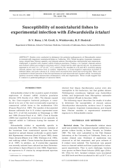 Full text in pdf format