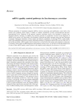 mRNA quality control pathways in Saccharomyces cerevisiae
