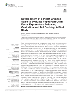 Development of a Piglet Grimace Scale to Evaluate Piglet Pain