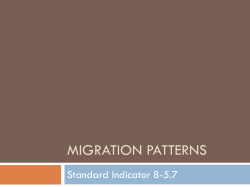 MIGRATION PATTERNS