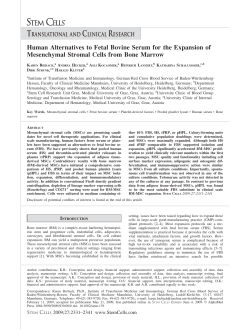Human Alternatives to Fetal Bovine Serum for the Expansion of