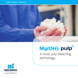 A novel pulp bleaching technology