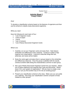 classification activity sheets