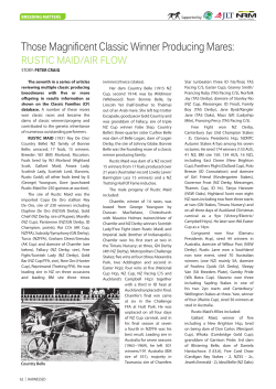 Rustiv Maid/Air Flow