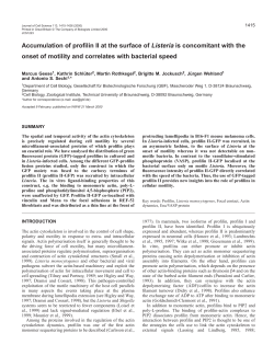 Profilin II dynamics during actin-based motility