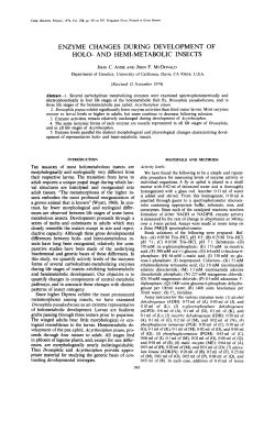 ENZYME CHANGES DURING DEVELOPMENT OF HOLO