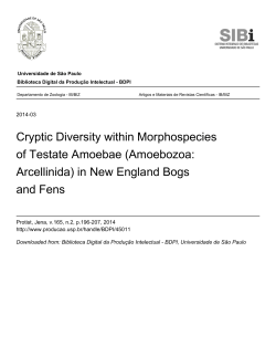Cryptic Diversity within Morphospecies of Testate Amoebae