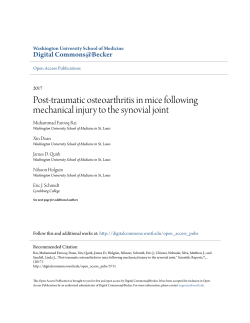 Post-traumatic osteoarthritis in mice following mechanical injury to