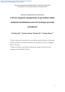 Supplementary Information