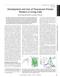 Development and Use of Fluorescent Protein Markers in Living Cells