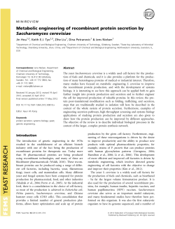 Metabolic engineering of recombinant protein secretion by