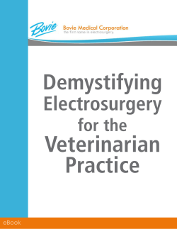Demystifying Electrosurgery for the Veterinarian