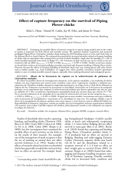 Effect of capture frequency on the survival of Piping Plover chicks