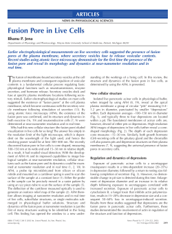 Fusion Pore in Live Cells