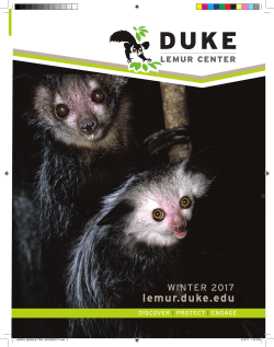 winter 2017 - Duke Lemur Center