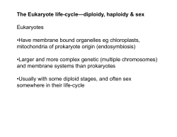 Lecture 6, Algal life-cycles