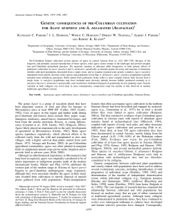 genetic consequences of pre-columbian cultivation for agave