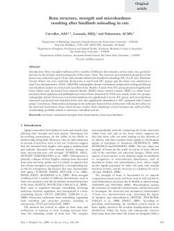 Bone structure, strength and microhardness resulting after hindlimb