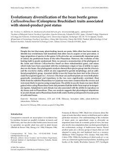 Evolutionary diversification of the bean beetle genus