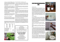 EFFECTIVE MICROORGANISMS (EM)