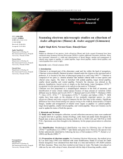 Aedes aegypti (Linnaeus) - International Journal of Mosquito