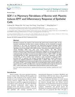 SDF-1 in Mammary Fibroblasts of Bovine with Mastitis Induces EMT
