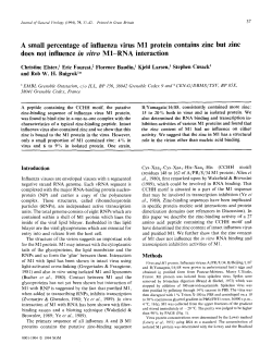 A small percentage of influenza virus M1 protein