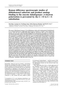 Raman difference spectroscopic studies of dithiobenzoyl substrate