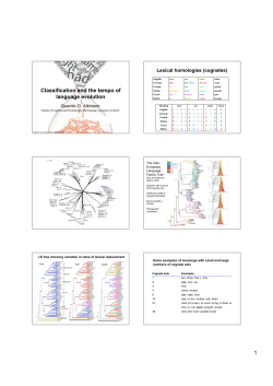 Classification and the tempo of language evolution