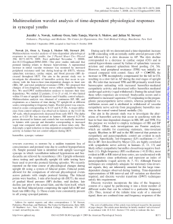 Multiresolution wavelet analysis of time