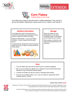 Corn Flakes - UNL Food - University of Nebraska&ndash;Lincoln